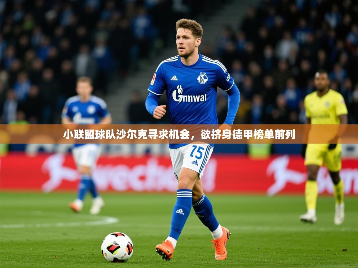 2025华体会登录小联盟球队沙尔克寻求机会，欲挤身德甲榜单前列